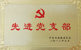 先進黨支部-2012.jpg