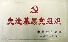 先進基層黨組織-2012.jpg