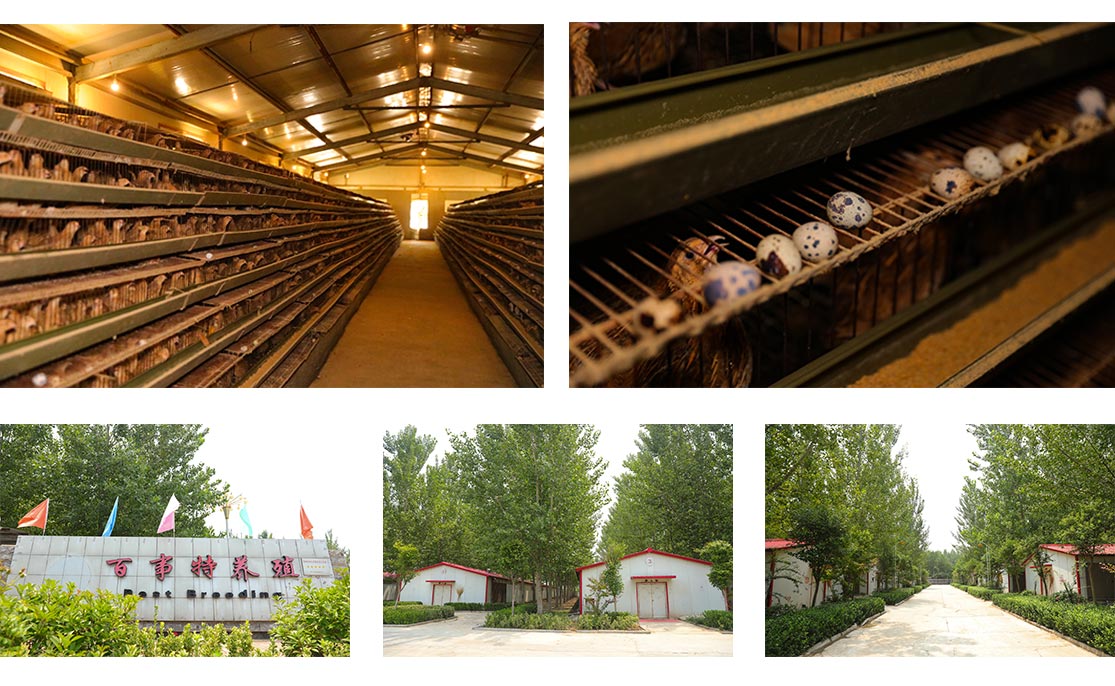 循環(huán)農(nóng)業(yè).jpg 循環(huán)農(nóng)業(yè).jpg